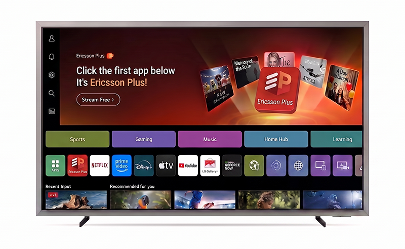 TV